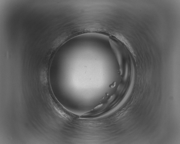 X0000074040393200608211524