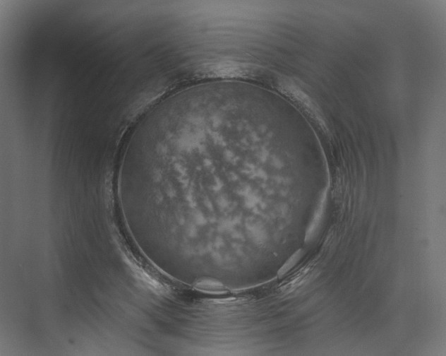 X0000074040394200608211524