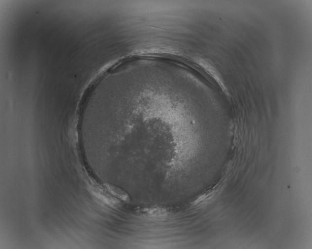 X0000074040395200608211524