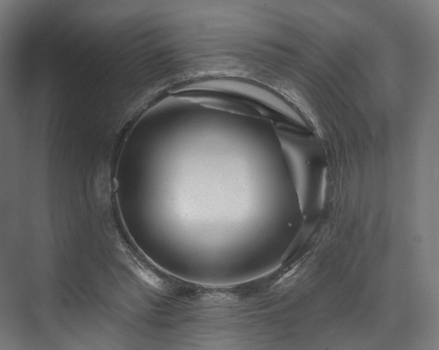 X0000074040397200608211524