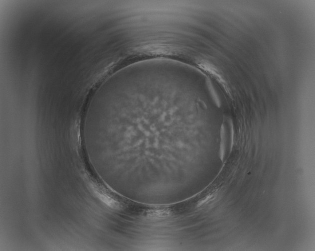 X0000074040398200608211524