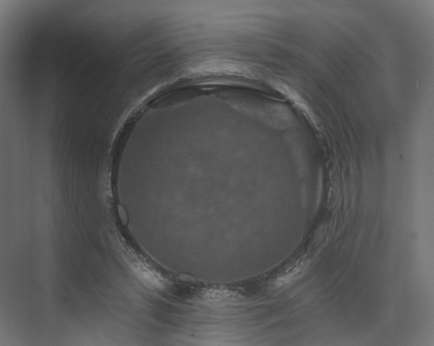 X0000074040399200608211524