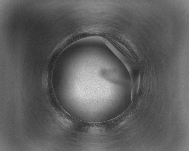 X0000074040400200608211524