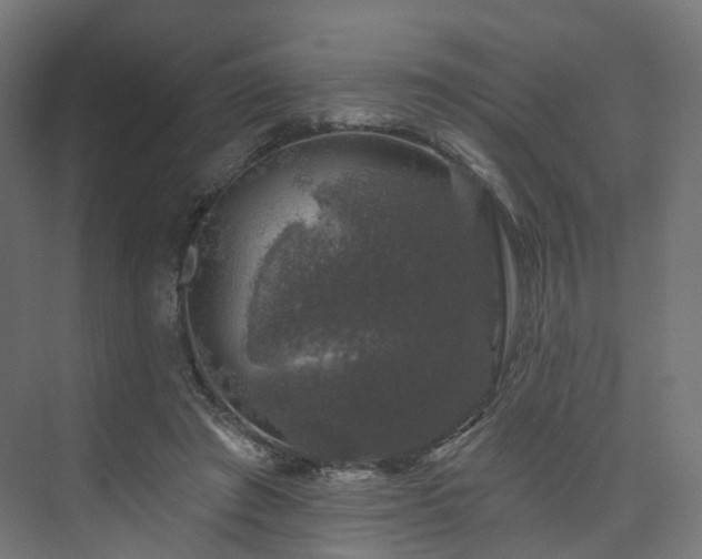 X0000074040401200608211524