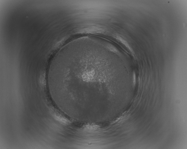 X0000074040403200608211524