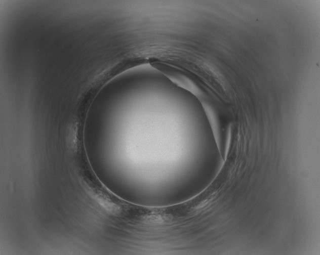 X0000074040404200608211524