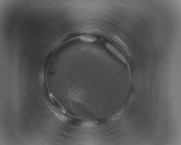 X0000074040405200608211524