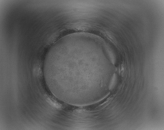 X0000074040408200608211524