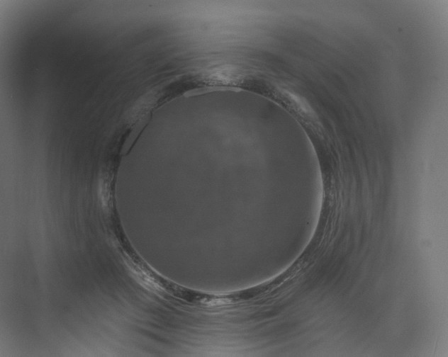 X0000074040409200608211524