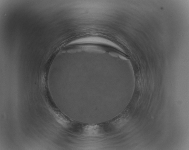 X0000074040410200608211524