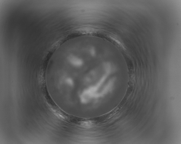 X0000074040411200608211524