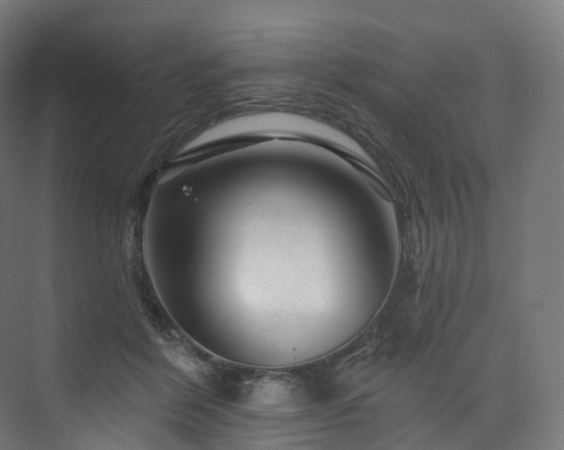 X0000074040412200608211524