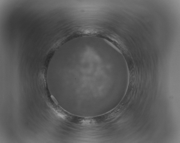 X0000074040415200608211523