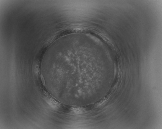 X0000074040417200608211523