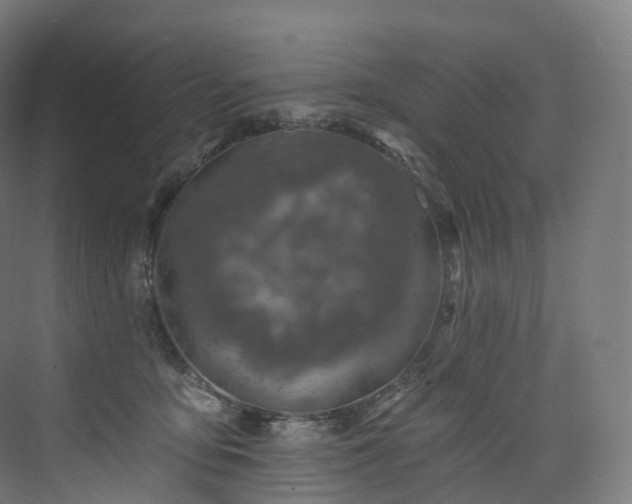 X0000074040419200608211523