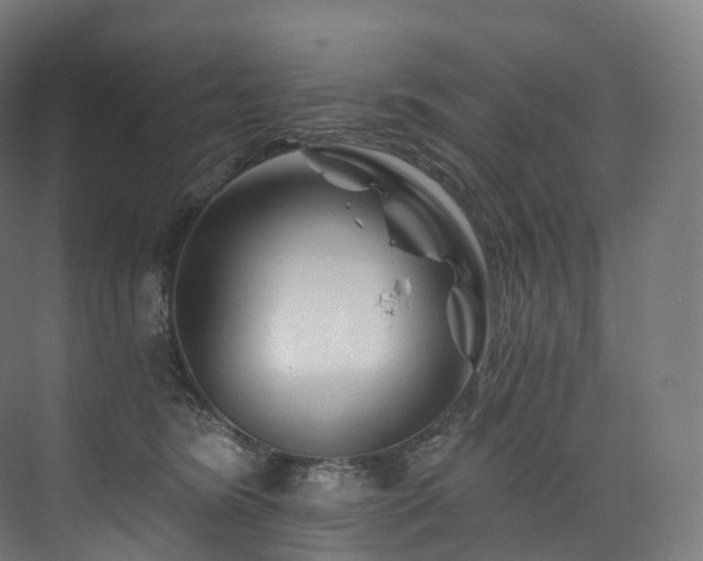 X0000074040420200608211523