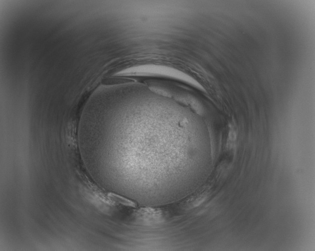 X0000074040421200608211523