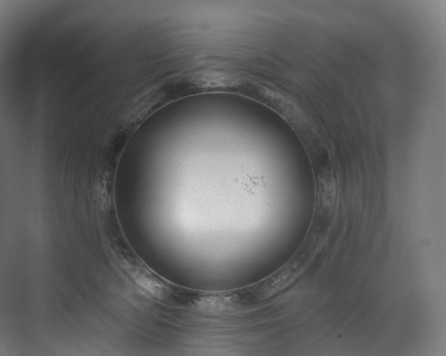 X0000074040422200608211523