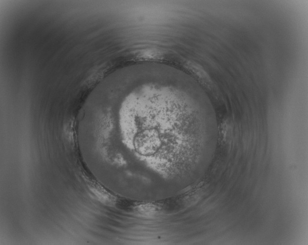 X0000074040423200608211523