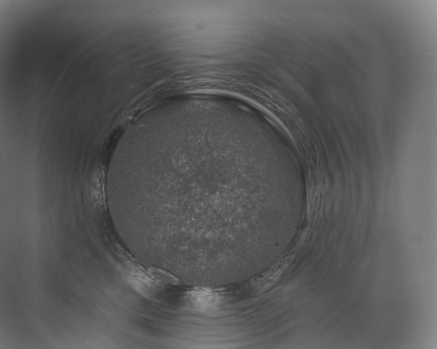 X0000074040425200608211523