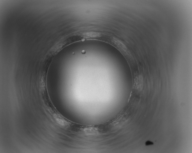 X0000074040426200608211523