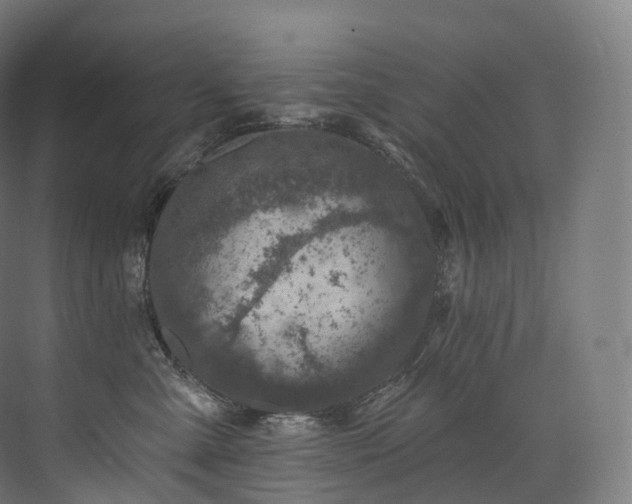 X0000074040427200608211523