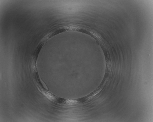 X0000074040429200608211523