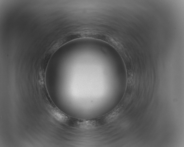 X0000074040430200608211523