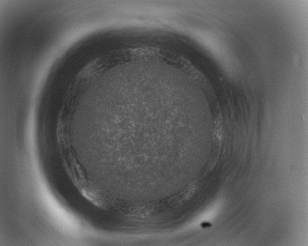 X0000074040431200608211523