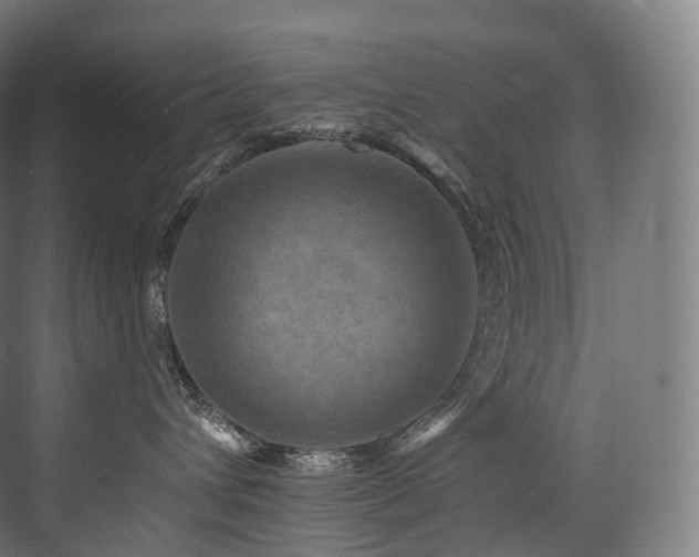 X0000074040432200608211523