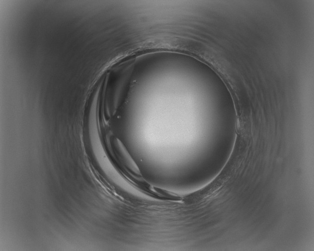 X0000074040434200608211522