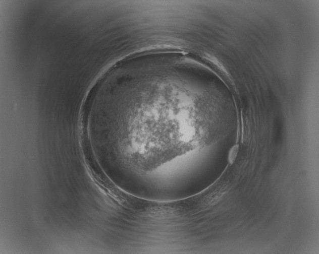 X0000074040435200608211522