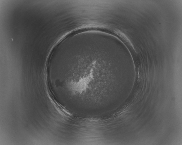 X0000074040436200608211522