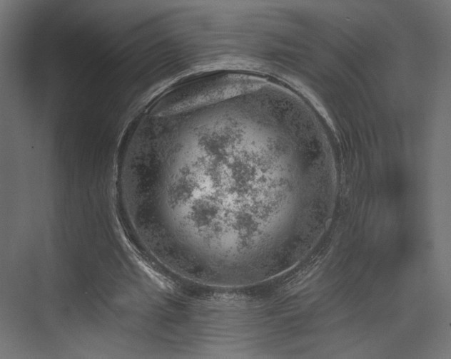 X0000074040437200608211522