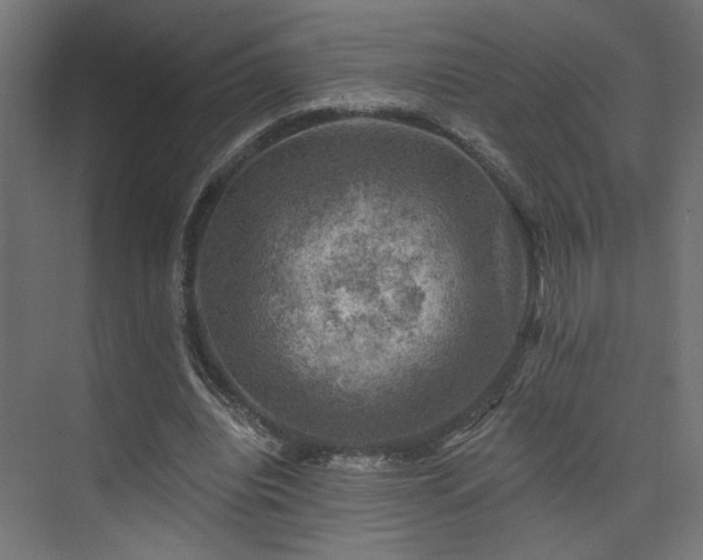 X0000074040440200608211523