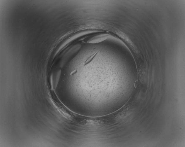 X0000074040442200608211523