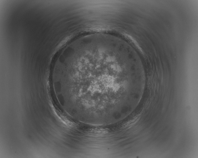 X0000074040443200608211523