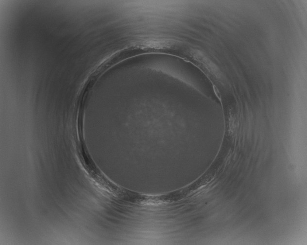 X0000074040444200608211523