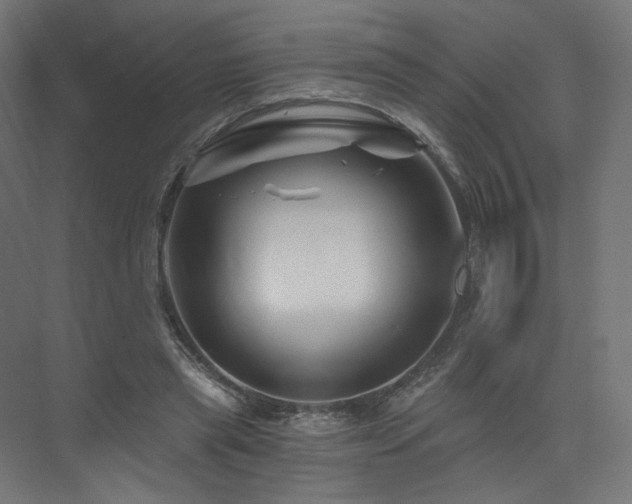 X0000074040445200608211523