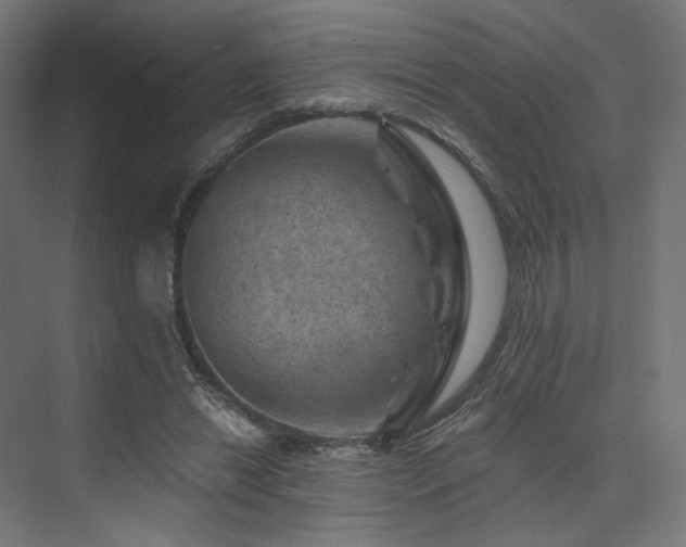 X0000074040446200608211523