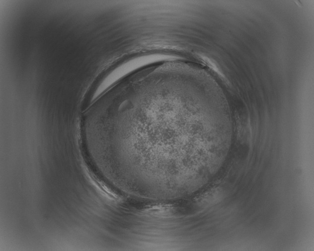 X0000074040447200608211523