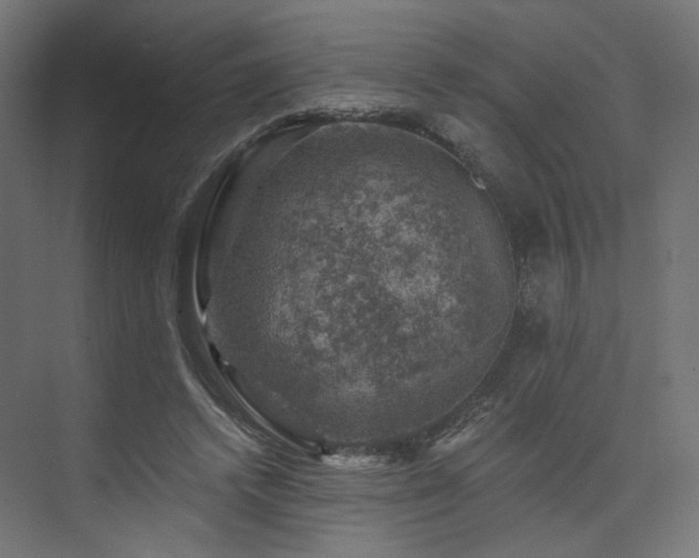 X0000074040448200608211523