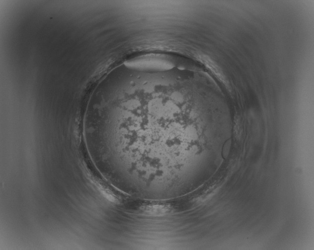 X0000074040449200608211523