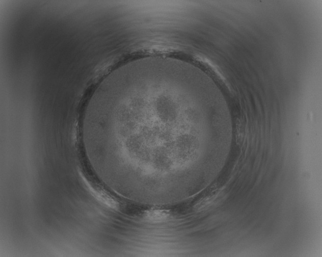 X0000074040451200608211523