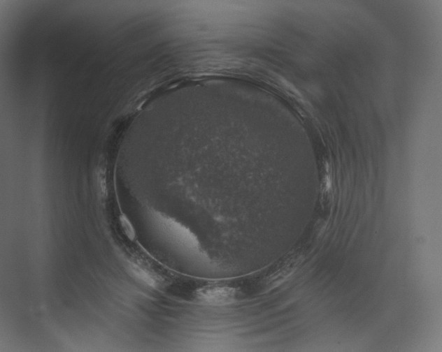 X0000074040452200608211523