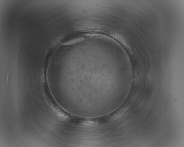 X0000074040453200608211523