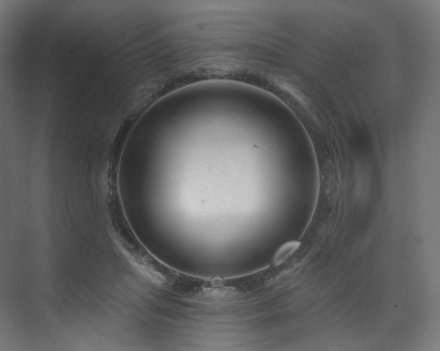 X0000074040455200608211523