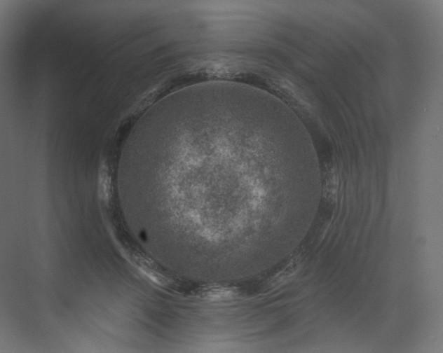 X0000074040456200608211523