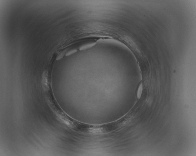 X0000074040457200608211523