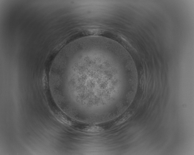 X0000074040459200608211523